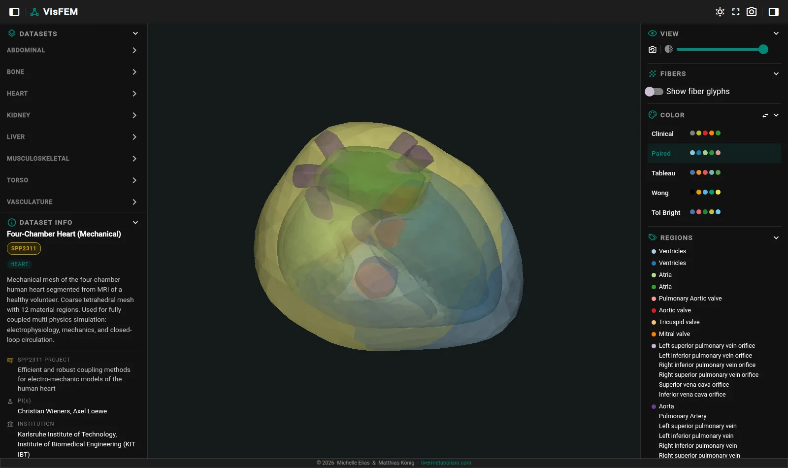 VisFEM showing the four-chamber heart model